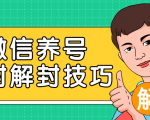 2020最新微信养号防封解封技巧,再也不用担心微信号被封,快速解封你的微信号!-风淘社
