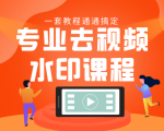 专业去视频水印教程 静态水印、动态水印、文字水印、图片水印一套教程通通搞定-风淘社