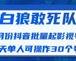 白狼敢死队最新抖音短视频批量起影视号(一天单人可操作30个号)视频课程-风淘社