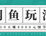 龟课·闲鱼项目玩法实战班第12期,操作10天左右利润有8000元细节玩法-风淘社