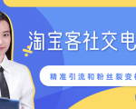 某站内部课程:淘宝客社交电商裂变,精准引流和粉丝裂变模式详解(共6节视频)-风淘社