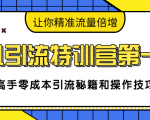 卓凡引流特训营第一期:高手零成本引流秘籍和操作技巧,让你精准流量倍增-风淘社