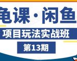 龟课·闲鱼项目玩法实战班第13期,轻松玩转闲鱼,多渠道多方法引流到私域流量池-风淘社