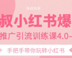 狼叔小红书爆款推广引流训练课4.0,手把手带你玩转小红书-风淘社