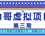 力哥实操内训虚拟项目第三期,每单几十块到几百甚至几千,日赚300-500+-风淘社