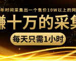 年赚十万的采集站，每天却只需要1小时，一年时间采集出一个售价10W以上的网站-风淘社