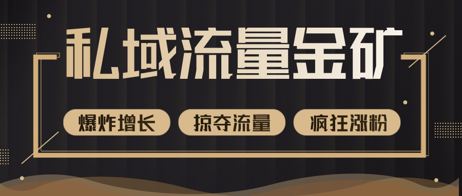 价值2200元私域流量的金矿,循环获取各大媒体精准流量,无限复制网红的精准流量!-风淘社