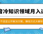 抖音冷知识领域月入过万项目,不适宜公开解决方案 ,抖音赚钱方式大解析!-风淘社