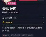 爆抖联盟蔷薇好物连怼100技术，一天连怼上百个视频，单场直播平均带货30万玩法-风淘社