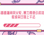 抖音直播间风火轮,暴力微信引流技术,低成本日加上千法-风淘社
