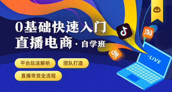 0基础快速入门直播电商课程:直播平台玩法解析-团队打造-带货全流程等环节-风淘社