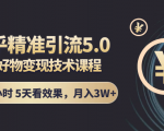 知乎精准引流5.0+知乎好物变现技术课程：每天1-2小时5天看效果，月入3W+-风淘社