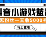 赚钱计划：抖音小游戏蓝海项目，无粉丝一天收入5000+-风淘社