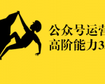 公众号运营高阶能力35讲,从月薪3k到月薪30k,新媒体人的必修课-风淘社
