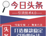 今日头条引流技术4.0,微头条实战细节,微头条引流核心技巧分析,快速发布引流玩法-风淘社