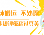 抖音纯搬运 不处理 小技巧，30秒发一个作品，避免违规评级秒过豆荚-风淘社