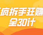 三疯拆手狂赚计,全30计课程-风淘社