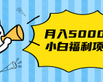 搏金汇小白福利网赚项目，长久稳定月入5000-风淘社