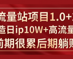 《大流量站项目1.0+2.0》打造日IP10W+高流量站,前期很累后期躺赚-风淘社