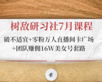 树敌研习社7月课程:破不适宜+零粉万人直播间卡广场+团队赚佣16W美女号套路-风淘社