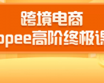 2020跨境电商蓝海新机会-SHOPEE大卖特训营:高阶终极课程(16节课)-风淘社