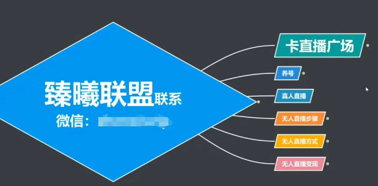 臻曦联盟,最新无人直播万人在线技术理原及详细操作步骤解析(视频教程)-风淘社
