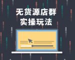 无货源店群实操玩法,蓝海选品的独特思路,店群软件操作方法(45节视频课)-风淘社
