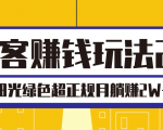 淘客赚钱玩法2.0,阳光绿色超正规项目,月躺赚2W+【视频课程】-风淘社