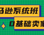 亚马逊系统班,专为0基础卖家量身打造,亚马逊运营流程与架构-风淘社