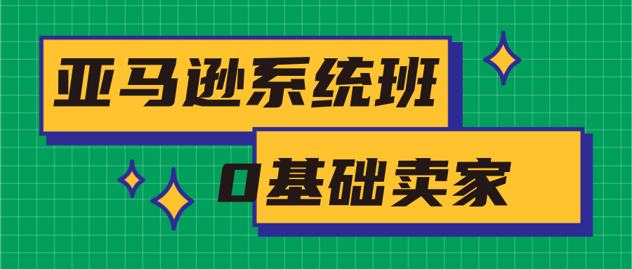 亚马逊系统班，专为0基础卖家量身打造，亚马逊运营流程与架构-风淘社