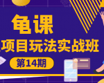 龟课·闲鱼项目玩法实战班第14期,批量细节玩法,一个月收益几万-风淘社