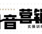 《12天线上抖音营销实操训练营》通过框架布局实现自动化引流变现-风淘社