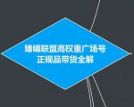 臻曦联盟抖音高权重广场号无人直播正规品带货全解-风淘社