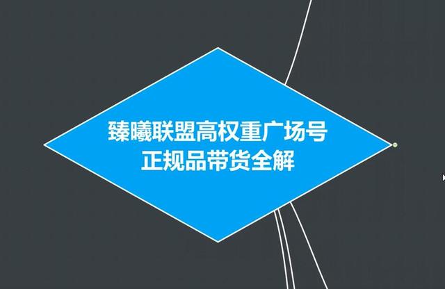 臻曦联盟抖音高权重广场号无人直播正规品带货全解-风淘社