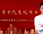 微信视频号运营变现课，带你玩转视频号实现月入10000+-风淘社