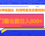 抖音上神秘副业项目,利用明星效应赚钱和截流,无门槛也能日入800+-风淘社