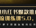 小红书爆款推广引流训练课5.0,手把手带你玩转小红书(17节实操视频+话术)-风淘社