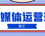 鹏哥自媒体运营班、宝妈兼职,也能月入2W,重磅推荐!【价值899元】-风淘社