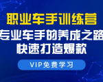 职业车手训练营：专业车手的养成之路，快速打造爆款（8节-无水印直播课）-风淘社