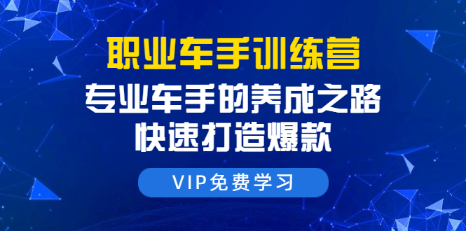 职业车手训练营:专业车手的养成之路,快速打造爆款(8节-无水印直播课)-风淘社