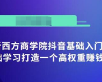 抖音基础入门班:小白0基础学习打造一个高权重赚钱的抖音号-风淘社
