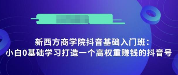 抖音基础入门班:小白0基础学习打造一个高权重赚钱的抖音号-风淘社