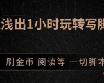 引流脚本实战课：1小时深入浅出视频实操讲解，教你0基础学会写引流脚本-风淘社