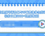 视频号新机制与不刷赞撸养生茶玩法,轻松日赚1000+-风淘社