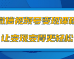 微信视频号变现项目,0粉丝冷启动项目和十三种变现方式-风淘社