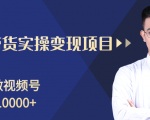 柚子分享课：微信视频号变现攻略，新手零基础轻松日赚千元-风淘社
