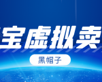 黑帽子淘宝虚拟卖货项目,单店每月收入5000+-风淘社