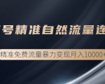 垂直起号精准自然流量连爆玩法,精准引流暴力变现月入10000+-风淘社