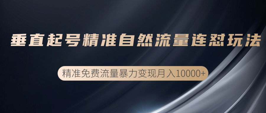 垂直起号精准自然流量连爆玩法,精准引流暴力变现月入10000+-风淘社