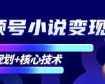 柚子微信视频号小说变现项目，全新玩法零基础也能月入10000+【核心技术】-风淘社